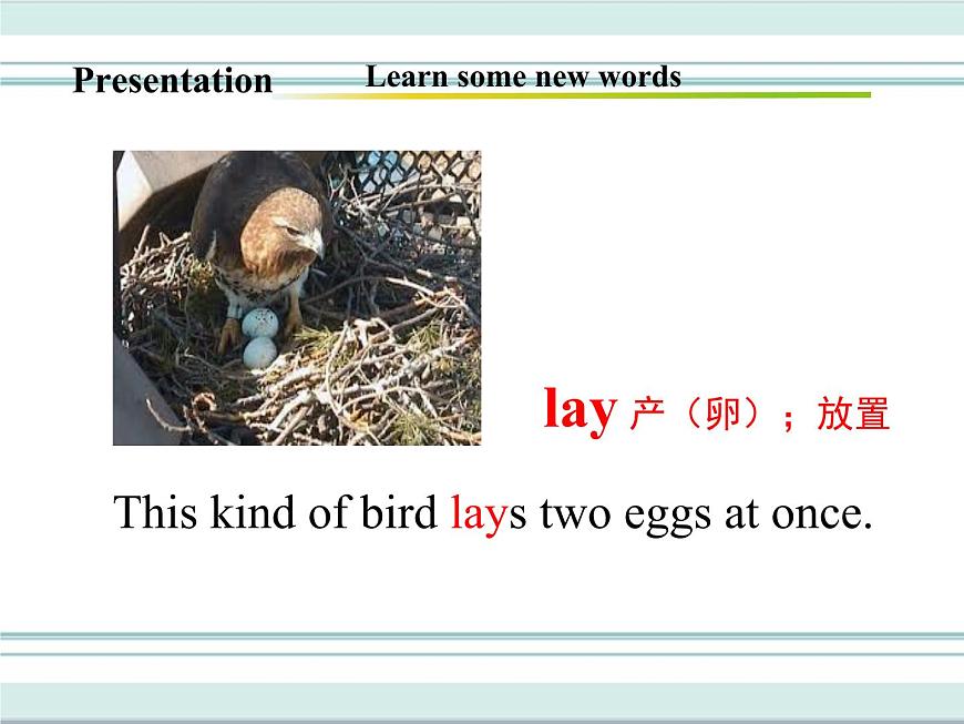 Unit 3 Lesson 14 課件第4頁