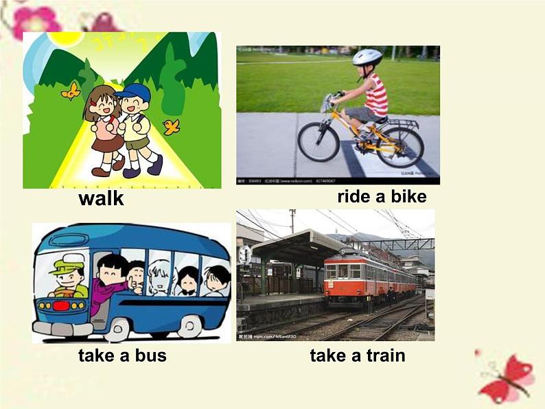 八年级英语上册 Unit 6 Lesson 31 How do you travel课件 (新版)冀教版第4页