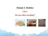 外研版新标准八下英语Module 6 Unit 1Do you collect anything课件