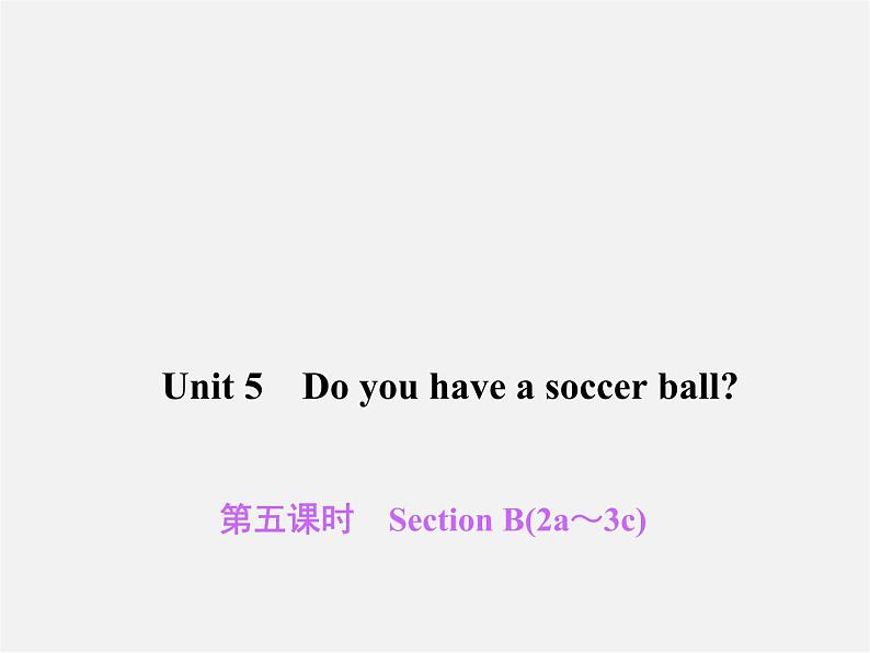 2【练闯考】Unit 5 Do you have a soccer ball(第5课时)Section B(2a-3c)课件第1页