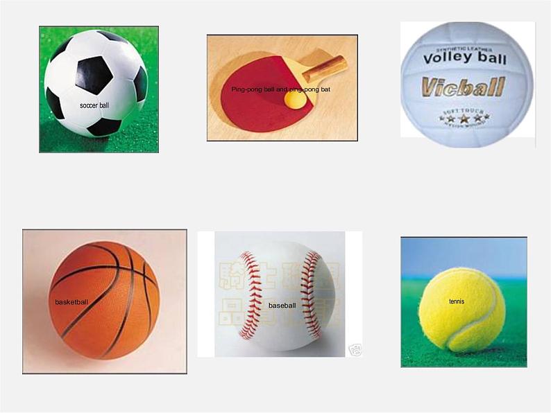 9【名师课件】Unit 5 Do have a soccer ball(第一课时)课件第8页