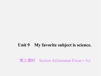 人教新目标 (Go for it) 版七年级上册Unit 9 My favorite subject is science.Section A背景图ppt课件