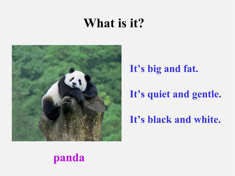 【浙江省】 2 Unit 5 Why do you like pandas Section A 2课件03