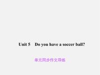 初中英语人教新目标 (Go for it) 版七年级上册Unit 5 Do you have a soccer ball?综合与测试课文ppt课件
