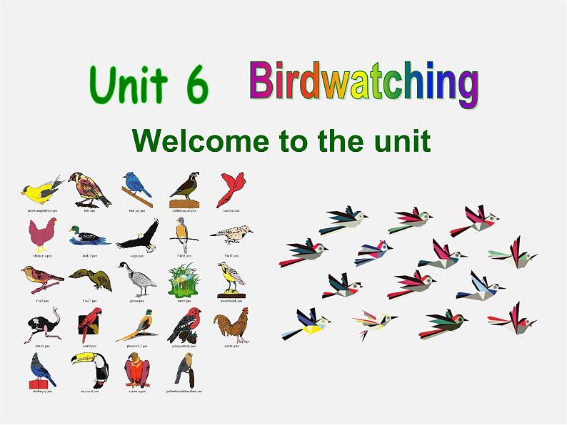 江苏省永丰初级中学八年级英语上册 Unit 6 Bird watching Welcome to the unit课件第1页