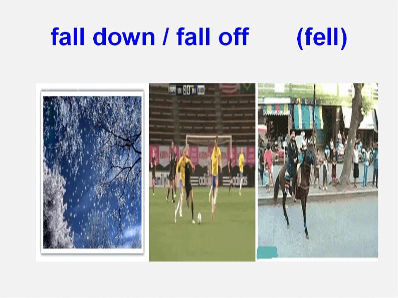 浙江师范大学附属中学八年级英语上册 Unit 8 Natural disasters reading 2课件第8页