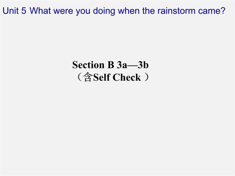 山东省肥城市王庄镇初级中学八年级英语下册 Unit 5 What were you doing when-the-rainstorm came Period 4课件01