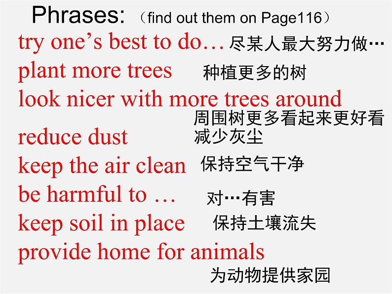 江苏省溧水县孔镇中学八年级英语下册 Unit 8 A green world Speak up & Study skills课件03