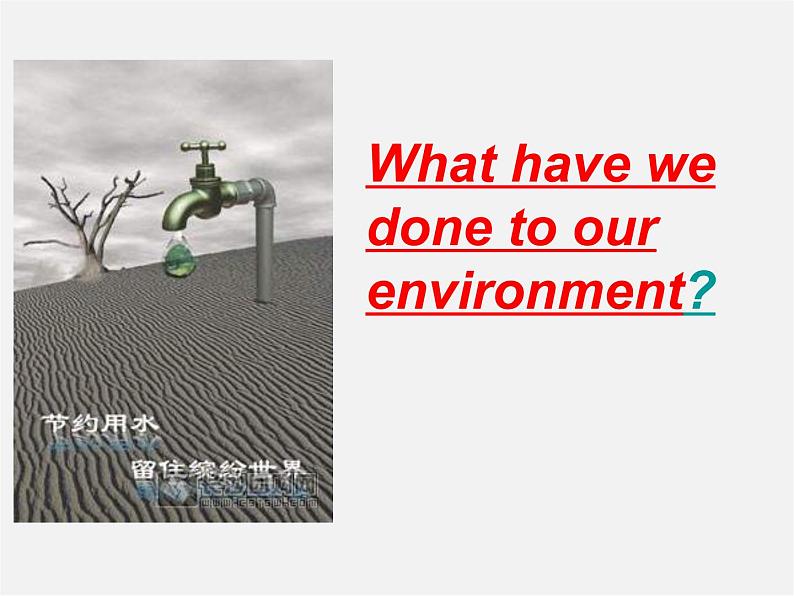 江苏省永丰初级中学八年级英语下册 Unit 8 A green world Task & integrated skills课件第2页