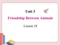冀教版八年级下册Unit 3 Animals Are Our FriendsLesson 18 Friendship Between Animals背景图课件ppt