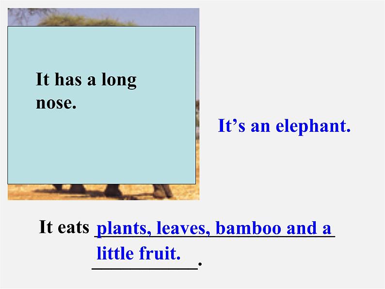 广东省佛山市第十四中学七年级英语上册 Module 6 A trip to the zoo Unit 1 Does it eat meat课件 (新版)外研版第7页