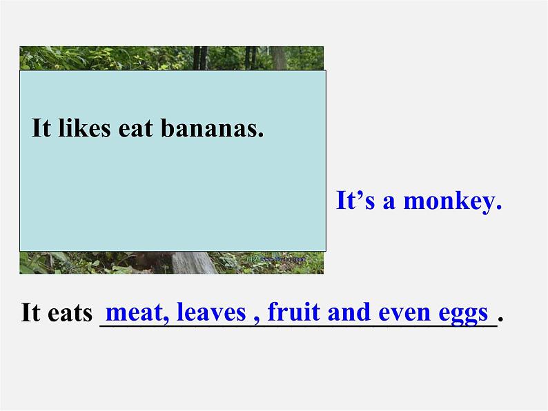 广东省佛山市第十四中学七年级英语上册 Module 6 A trip to the zoo Unit 1 Does it eat meat课件 (新版)外研版第8页