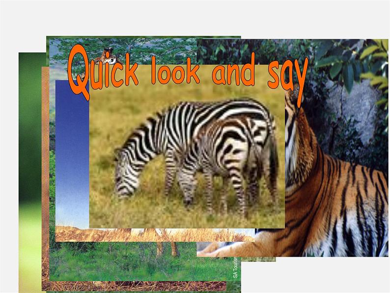 七年级英语上册 Module 6 A trip to the zoo Unit 2 The tiger lives in Asia课件 (新版)外研版04