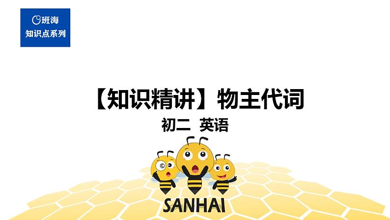 英语八年级【知识精讲】12.代词(2)物主代词 课件01