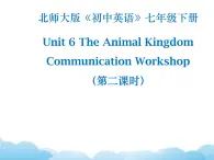 北师大版英语七下Unit 6《Communication Workshop》第2课时课件