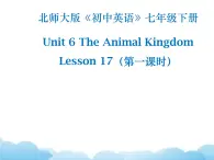 北师大版英语七下Unit 6《Lesson 17 Interesting Animals》第1课时课件