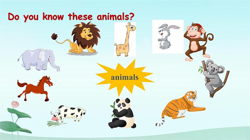 Unit 5 Why do you like pandas Section A(1a—1c) -2021-2022学年七年级英语下册 人教版 课件(共29张PPT)第5页