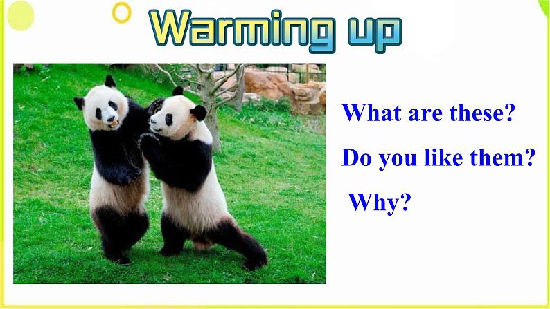 Unit 5 Why do you like pandas Section A (1a--2c) -2021-2022学年七年级英语下册 人教版 课件(共28张PPT)第3页