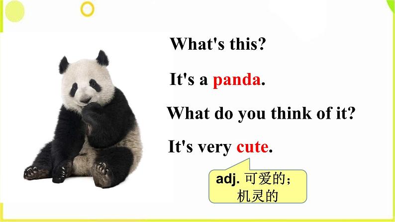Unit 5 Why do you like pandas Section A (1a--2c) -2021-2022学年七年级英语下册 人教版 课件(共28张PPT)第5页