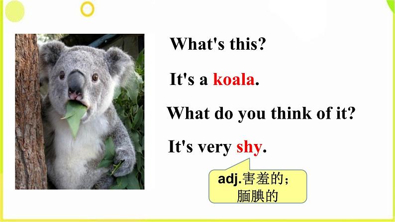 Unit 5 Why do you like pandas Section A (1a--2c) -2021-2022学年七年级英语下册 人教版 课件(共28张PPT)第7页