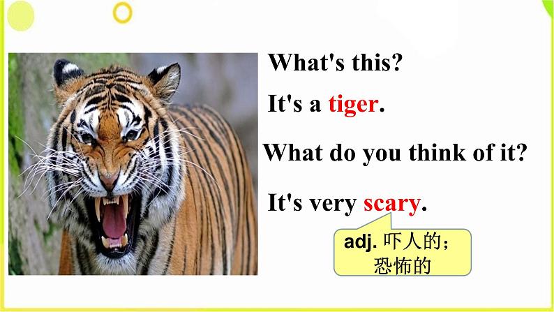 Unit 5 Why do you like pandas Section A (1a--2c) -2021-2022学年七年级英语下册 人教版 课件(共28张PPT)第8页
