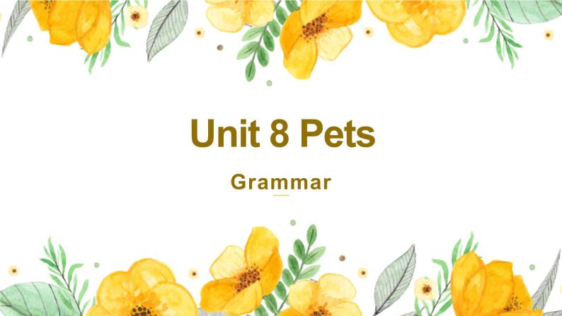 牛津译林版英语七下Unit 8 Pets第四课时Grammar课件+教案01