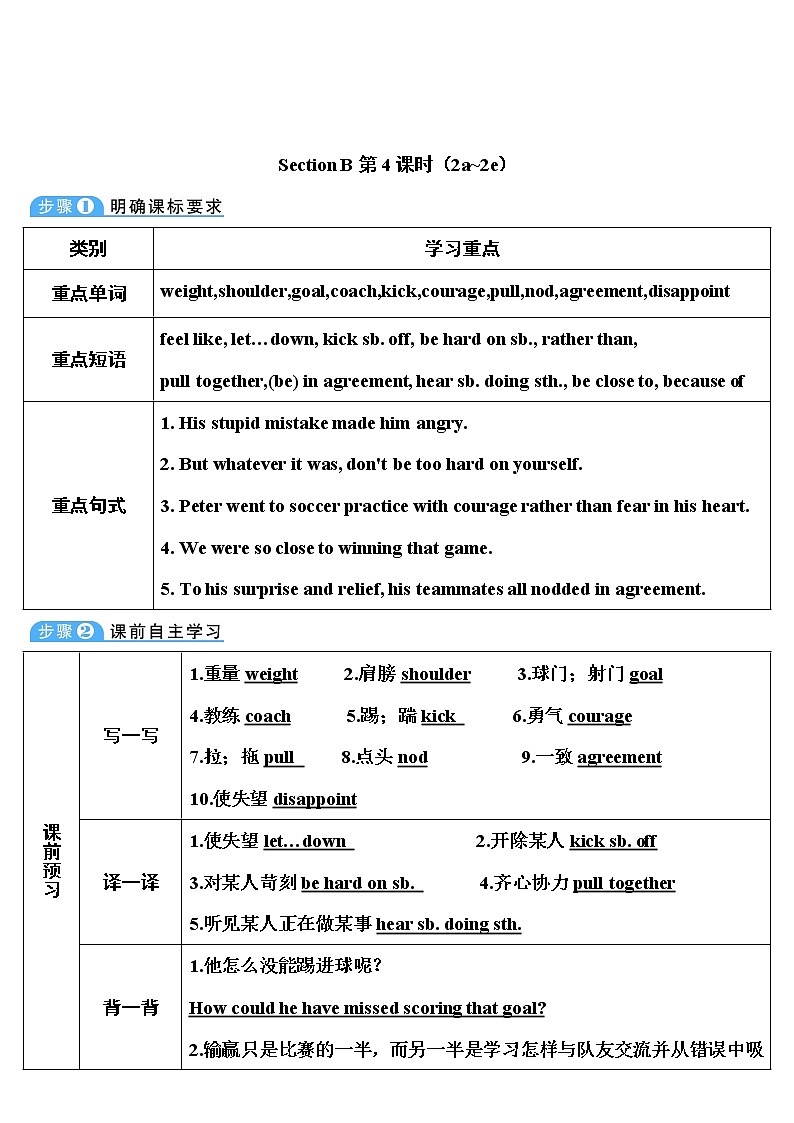 人教版英语九年级全册 Unit 11 Section B 第4课时 (2a~2e) 教案01