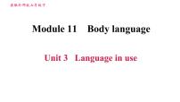 2021学年Unit 3 Language in use习题课件ppt
