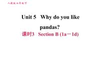 人教新目标 (Go for it) 版七年级下册Unit 5 Why do you like pandas?Section B习题课件ppt