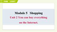 2020-2021学年Module 5 ShoppingUnit 2 You can buy everything on the Internet习题ppt课件