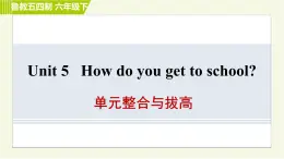 鲁教版六年级下册英语 Unit 5 单元整合与拔高 习题课件