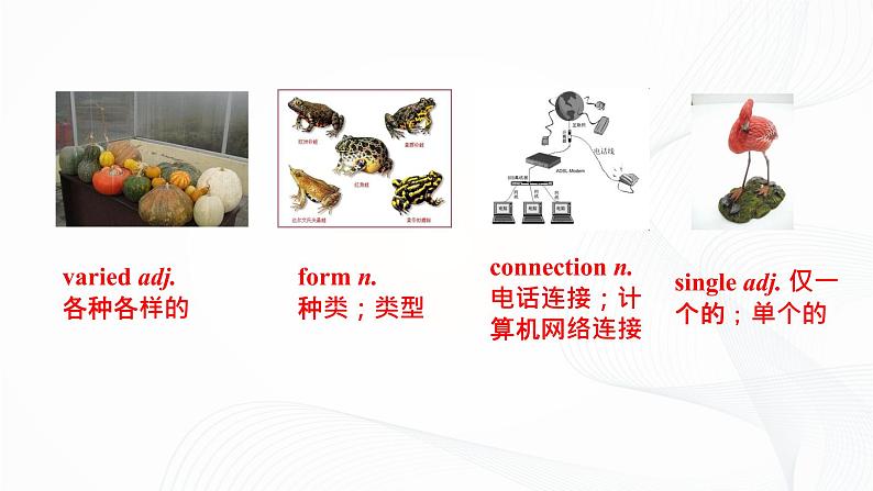 外研版英语九上M9 Unit 2 Will books be replaced by the Internet课件PPT第7页