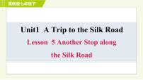 冀教版七年级下册Lesson 5  Another Stop along the Silk Road习题ppt课件
