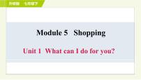 初中英语外研版 (新标准)七年级下册Module 5 Shopping综合与测试习题课件ppt