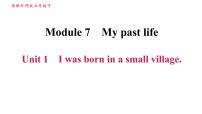 外研版 (新标准)七年级下册Module 7 My past life综合与测试习题ppt课件