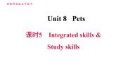 牛津译林版七年级下册Study skills习题课件ppt