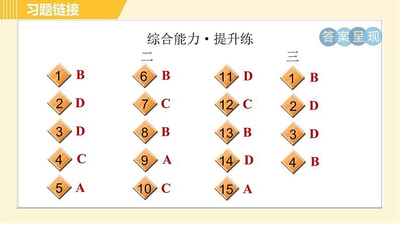 人教版八年级下册英语 Unit7 Period 5 Section B (2a-2e) 习题课件第5页