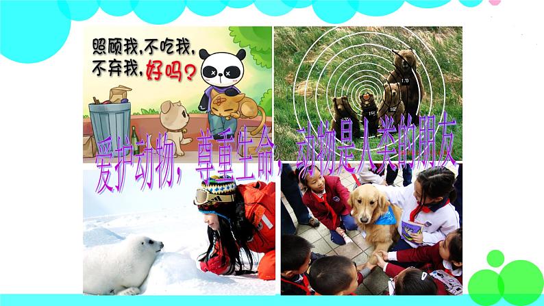 冀教英语七年级下册 Unit 8 Lesson 44 PPT课件+教案07