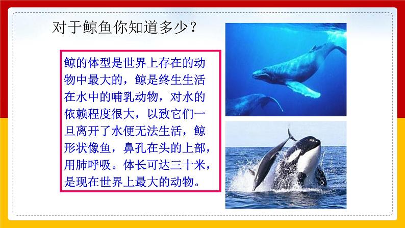 Unit 7 What’s the highest mountain in the world.Period 5(Section B 3a-Self check)(课件+教案+练习+学案)06