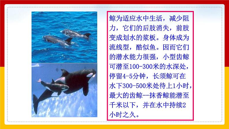 Unit 7 What’s the highest mountain in the world.Period 5(Section B 3a-Self check)(课件+教案+练习+学案)07
