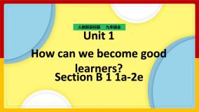 人教新目标 (Go for it) 版九年级全册Unit 1 How can we become good learners.Section B教学ppt课件