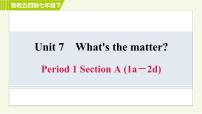 鲁教版 (五四制)Section A习题ppt课件