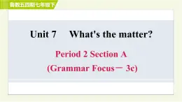 鲁教五四版七年级下册英语 Unit7 Period 2 Section A (Grammar Focus－3c) 习题课件