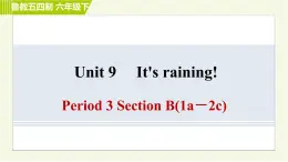 鲁教五四版六年级下册英语 Unit9 Period 3 Section B(1a－2c) 习题课件