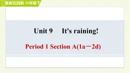 鲁教五四版六年级下册英语 Unit9 Period 1 Section A(1a－2d) 习题课件