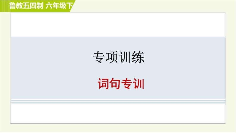 鲁教五四版六年级下册英语 专项训练之词句专训 习题课件01