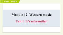 初中英语外研版 (新标准)七年级下册Module 12 Western musicUnit 1 It’s so beautiful!习题课件ppt