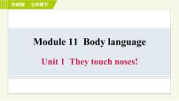 初中英语外研版 (新标准)七年级下册Unit 1 They touch noses!习题课件ppt