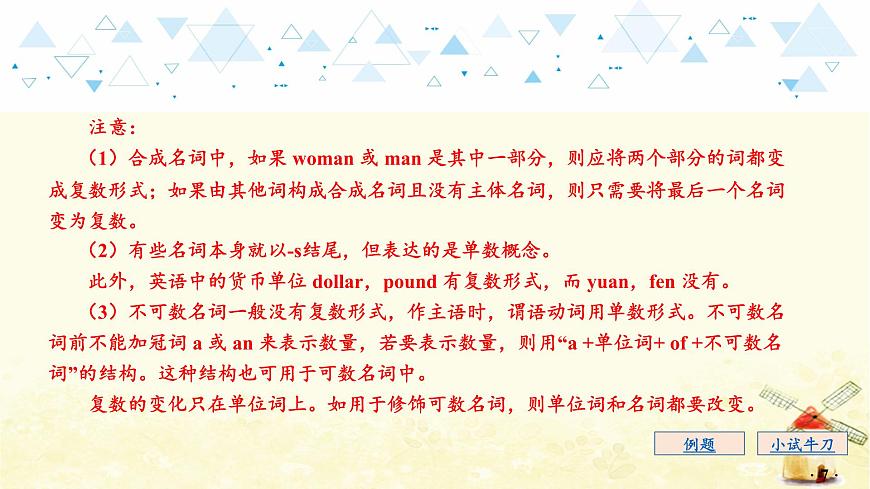 語法專項復(fù)習(xí)—名詞第8頁