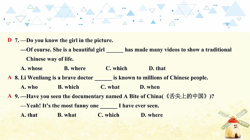 語法專項復(fù)習(xí)—定語從句第7頁